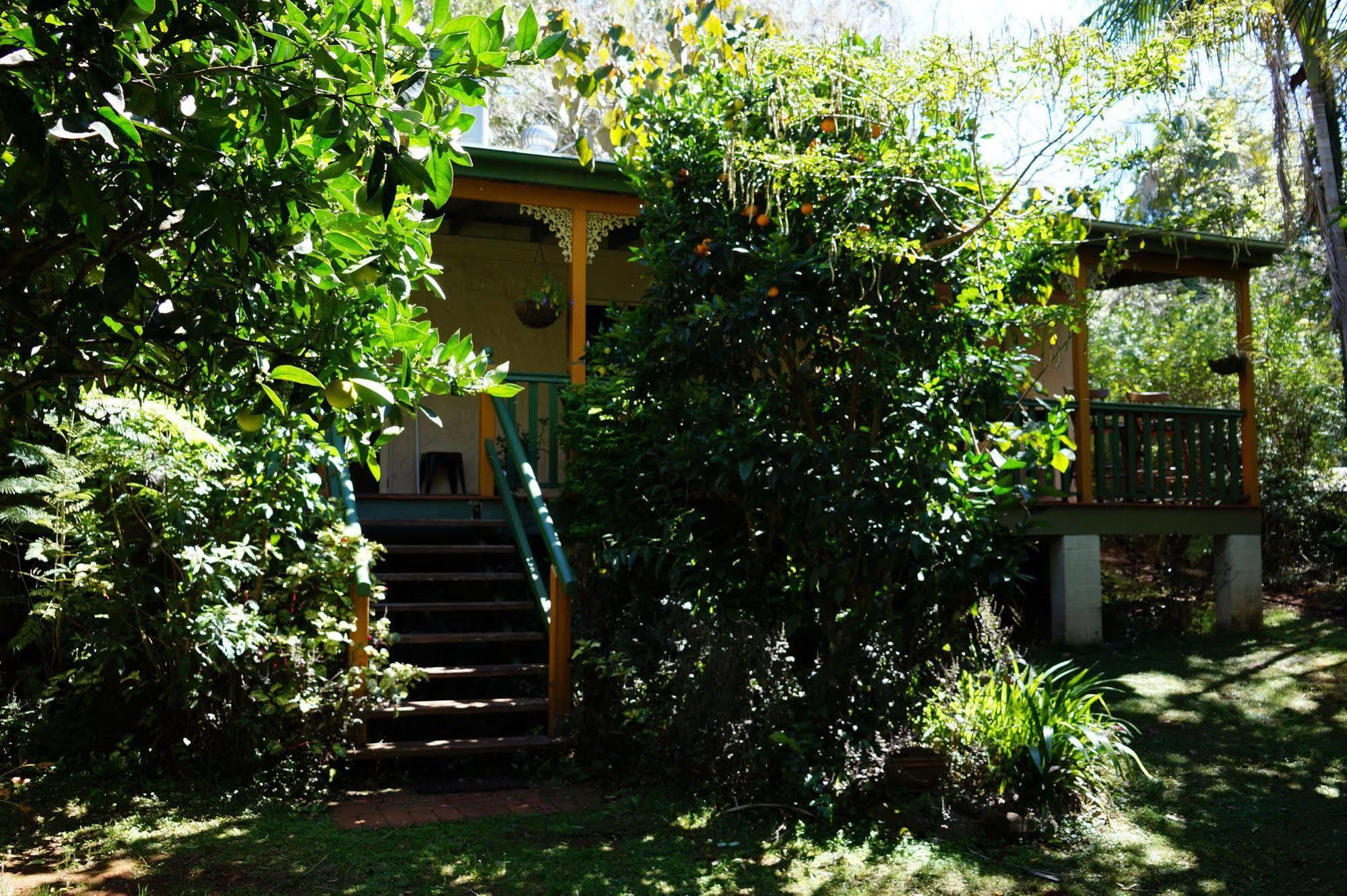 Kidd Street Cottages Mount Tamborine Eksteriør bilde